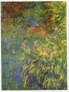 Claude Monet Irises, 1914-17 oil painting picture wholesale